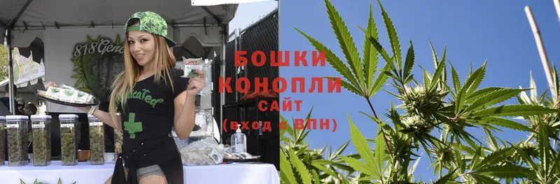 сколько стоит  Качканар  Марихуана OG Kush 